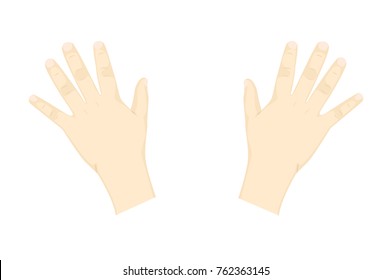 Hands of the child with the fingers spread out. Vector cartoon illustration