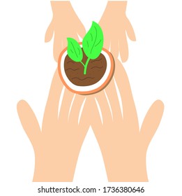 Hands children and parents holding seedling. Environmental protect. Eco-education. Montessori concept family home education.