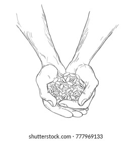 Hands with coffee beans. 