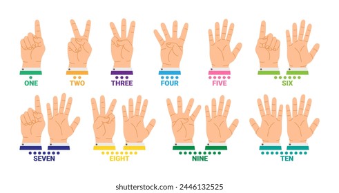 Hands count with fingers. Cartoon counting from one to ten, showing numbers, using hands gestures. Ten number dotted. Basics math learning. Vector illustration. Education at school