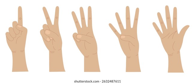 As mãos contam de um a cinco. Gestos de mãos. Contando os dedos.  Ilustração vetorial.