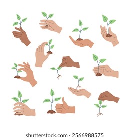 Hands in different gestures holding plant. Arm with growing branch. Eco friendly,  ecology, environment icons. Planting sapling, sprout. Green energy, sustainable lifestyle. Vector illustration