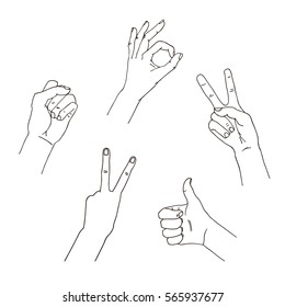 Hands in different interpretations. Vector illustration. Isolated on white background