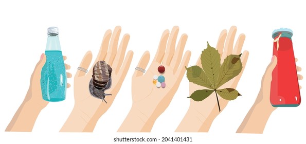 hands with different objects: pills, a fallen leaf, a snail, a drink in a bottle. Vector stock illustration isolated on white background.