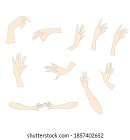 Manos en diferentes posiciones. Ilustración vectorial.