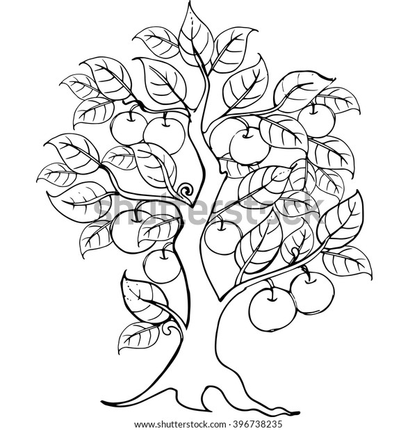 Hands Drawing Apple Tree Anti Stress Stock Vector (Royalty Free ...