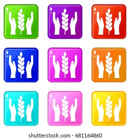 Hands and ear of wheat icons of 9 color set isolated vector illustration