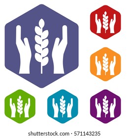 Hands and ear of wheat icons set rhombus in different colors isolated on white background