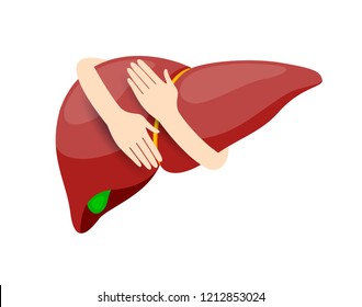 Hands embrace human liver. Health care concept. Icon design. Illustration isolated on white background.