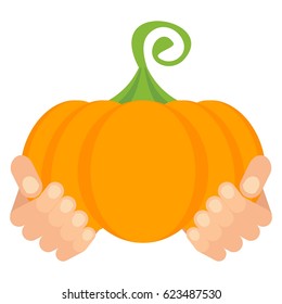 Hands of farmer with crop. Handful of vegetables. Men hands hold pumpkin. Flat vector cartoon illustration. Objects isolated on a white background.
