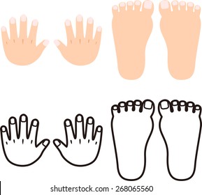 hands and feet