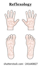 Hands and feet divided into the reflexology areas of the corresponding internal organs and body parts. Outline vector illustration over white background.