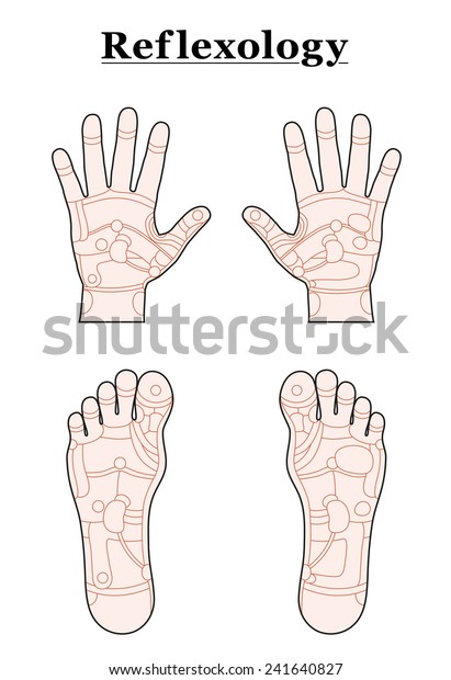 Hands and feet divided into the\
reflexology areas of the corresponding internal organs and body\
parts. Outline vector illustration over white\
background.
