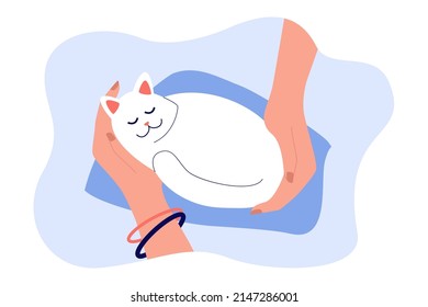 Hands of female pet owner holding cat. Hug and care for little furry friend from girl flat vector illustration. Love for animals, adoption concept for banner, website design or landing web page