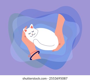 Hands of female pet owner holding cat. Hug and care for little furry friend from girl flat vector illustration. Love for animals, adoption concept for banner, website design or landing web page