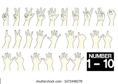 Hände mit Fingern zum Zählen von 1 - 10, handsignierte Sprachnummern 1 bis 10