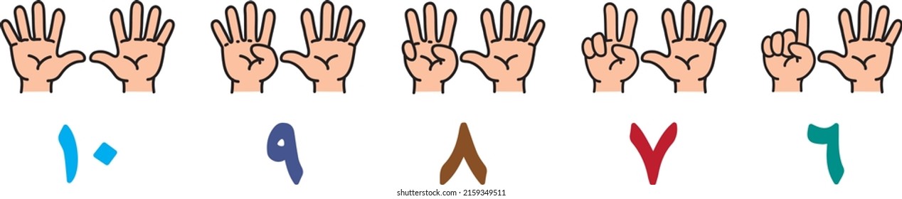 Hands and fingers set for counting education from 6 to 10. Arabic numbers. Childrens vector illustration