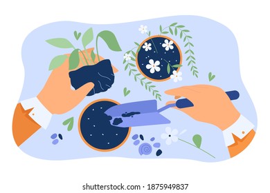 Hands of florist taking care about plants in pots, holding houseplant and digging soil with shovel. Vector illustration for home interior, decoration, floristry, gardening job in greenhouse concept