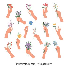 hands with flowers. decorative botanical illustrations bouquet in woman hands. Vector beautiful plants cartoon template