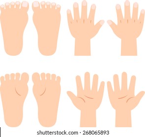 hands and foot