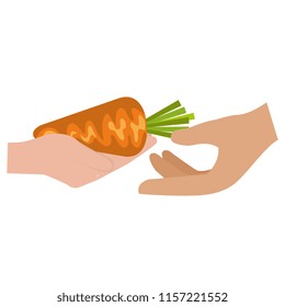 hands with fresh carrot