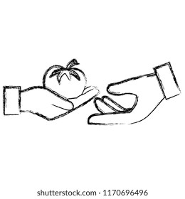 hands with fresh tomato