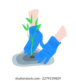 Hands in gardening gloves are planting sprout, sprig, shoot, tree, busch. Garden work, seedling, save the planet concept. Vector flat illustration.