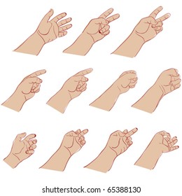 hands gesture against white background, abstract vector art illustration