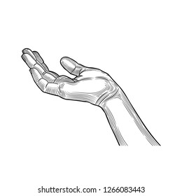 Hands, gesture, asking. Vector illustration on white background.