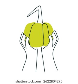 Hands with green pumpkin. Autumn harvest