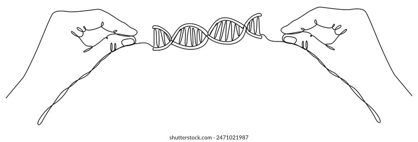 Hands hold DNA continuous one line drawing. Genome linear structure symbol. Vector illustration isolated on white background.
