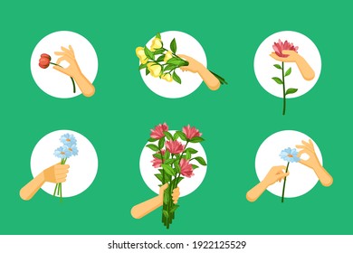 Hands hold flowers set. Red plucked chrysanthemums for birthday bouquet blue field cornflowers romantic confession yellow elegant tulips on day solemn anniversary. Vector natural decoration.