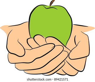 Hands hold fruit