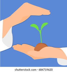 Hands hold the sprout and protect it