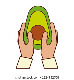 hands holding avocado