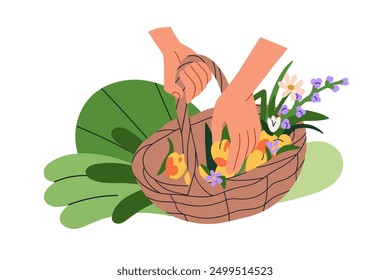 Hands holding basket with fresh fruits and field flowers. Collecting healthy harvest, putting apricots into wicker. Country life, cottagecore. Flat vector illustration isolated on white background