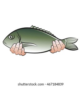 hands holding a big fish in color-vector drawing