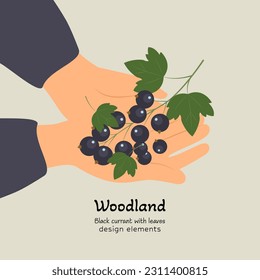 Hands holding black currant with leaves. Woodland. Vector illustration in minimalistic style.