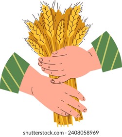 Hands Holding Bouquet Of Wheat Vector Illustration