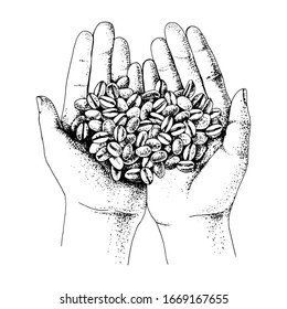 Hands holding coffee beans. Vector illustration in retro style
