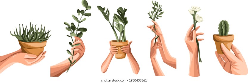 hands holding a flower in a pot plants bouquet cactus twig bowl flower in a pot