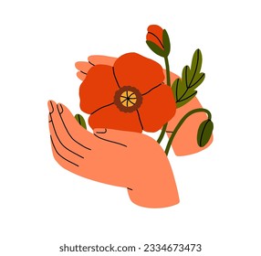 Hands holding flower, red poppy. Blooming blossomed floral plant, remembrance memorial symbol. Gentle delicate field flora petals, bud. Flat vector illustration isolated on white background