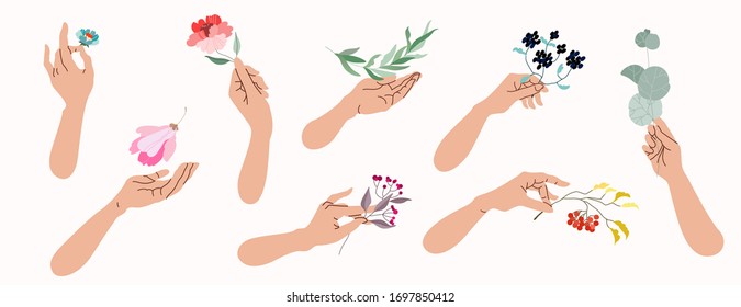 Manos sosteniendo flores y ramas de árboles. Colección de ilustraciones vectoriales aisladas de manos femeninas con diferentes botánicos. El concepto de belleza y naturaleza. Elementos de arte de clips románticos para el diseño web.