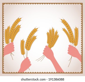 hands holding fresh wheat