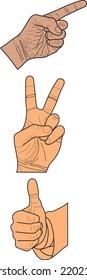 Hands holding gestures.  Elegant female and male hand showing pointing finger, like, victory finger at something on white background, Vector design.