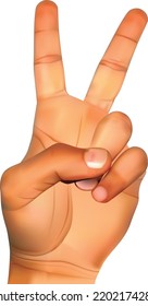 Hands holding gestures.  Elegant female and male hand showing victory at something on white background, illustration vector design.