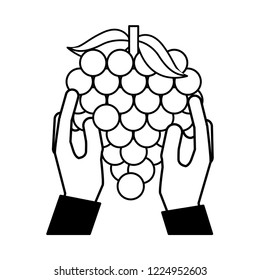 hands holding grapes