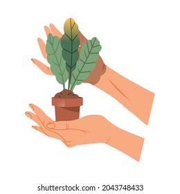 Hands Holding Green Plant Sprout in Pot Taking Care of Nature and Environment Vector Illustration