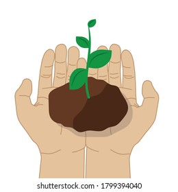 hands holding growing plant, vector illustration 