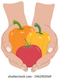 Hands holding harvest greens. Vegetables in hand. Cartoon style vector illustration on white background.